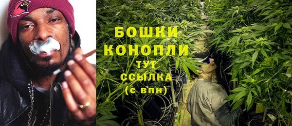индика Киренск