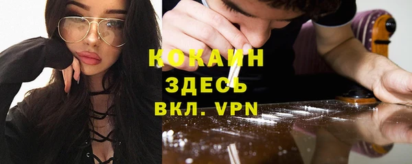 индика Киренск