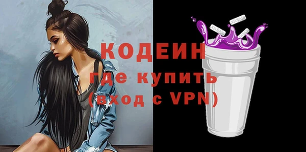 индика Киренск