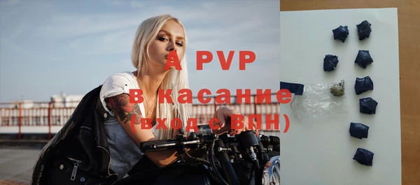 индика Киренск