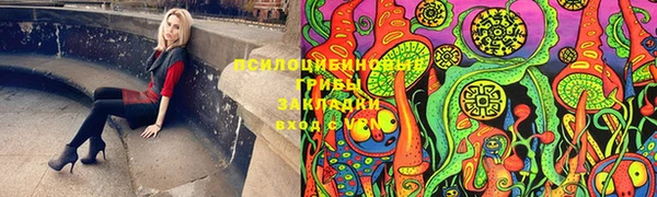 индика Киренск