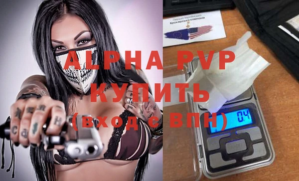 индика Киренск